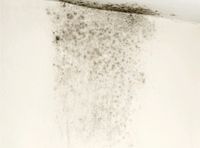 해남 주택 아파트 공장 결로검사 결로공사 시공업체